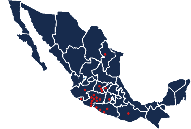 Descripción de la imagen